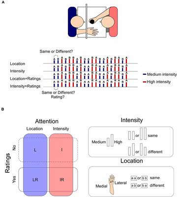 Rating the Intensity of a Laser Stimulus, but Not Attending to Changes in Its Location or Intensity Modulates the Laser-Evoked Cortical Activity